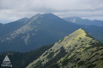 Вид з вершини Синяка на Малий Ґорґан і Довбушанку